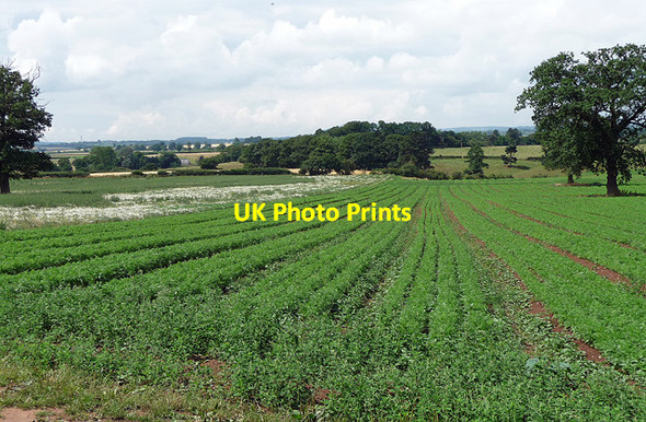 Photo 6"x4" Farmland near Beckbury Ryton\/SJ7602 c2010