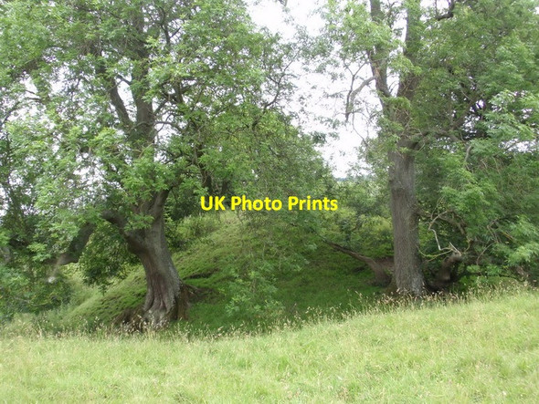 Photo 6"x4" Castell Foel Allt Pilleth c2011