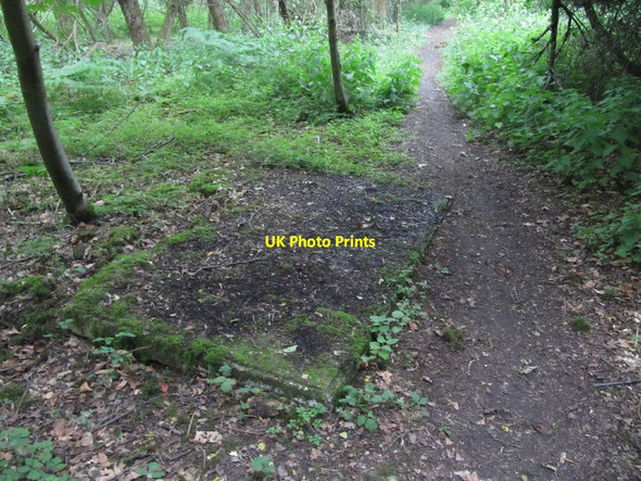 Photo 6"x4" Slab by the path Catslip c2011