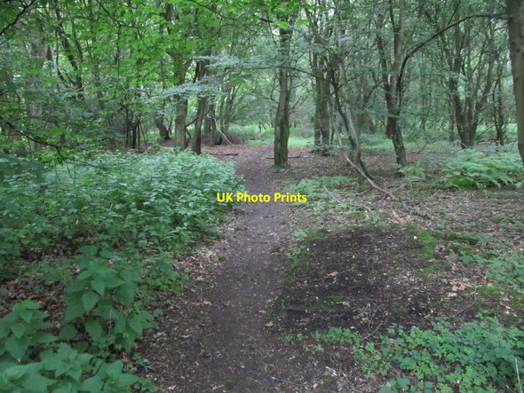 Photo 6"x4" Path towards the road Catslip c2011