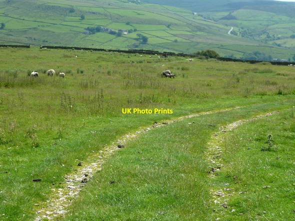 Photo 6"x4" Moorland track on Birchenough Hill Wildboarclough c2011