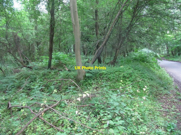 Photo 6"x4" Mound by the road Catslip c2011