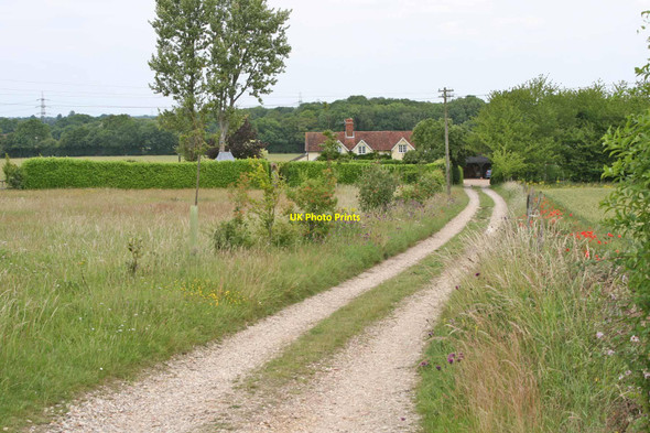 Photo 6"x4" Nr Crondall, Hampshire Rye Common c2011