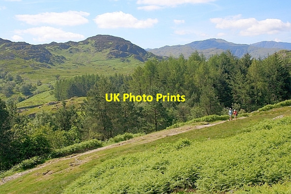 Photo 6"x4" Great Crag from Bracken Platt Watendlath c2011