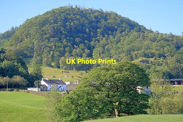 Photo 6"x4" Bridge End Farm Legburthwaite c2011
