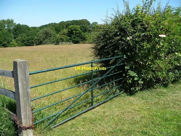 Photo 6"x4" Field gate off Cross Lane Lane Head\/SE2012 c2011