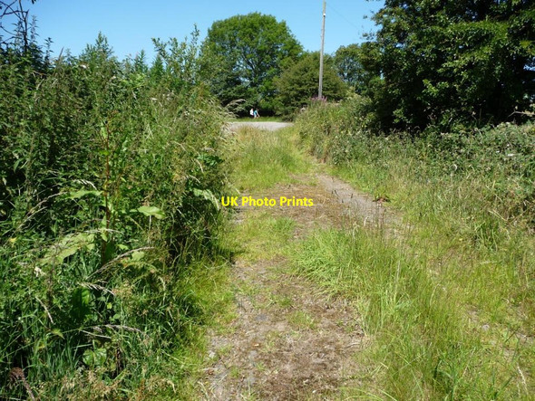 Photo 6"x4" Farm track to Bark House Lane Roydhouse c2011