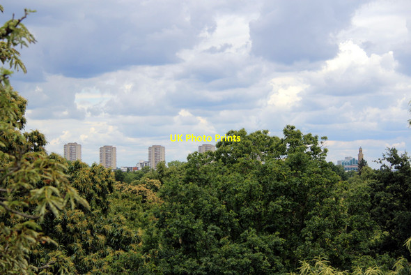 Photo 6"x4" Kew Gardens, London Brentford c2011