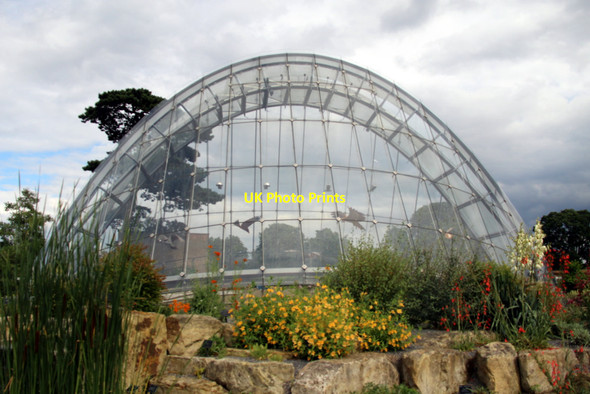 Photo 6"x4" Alpine Tunnel, Kew Gardens, London Brentford c2011
