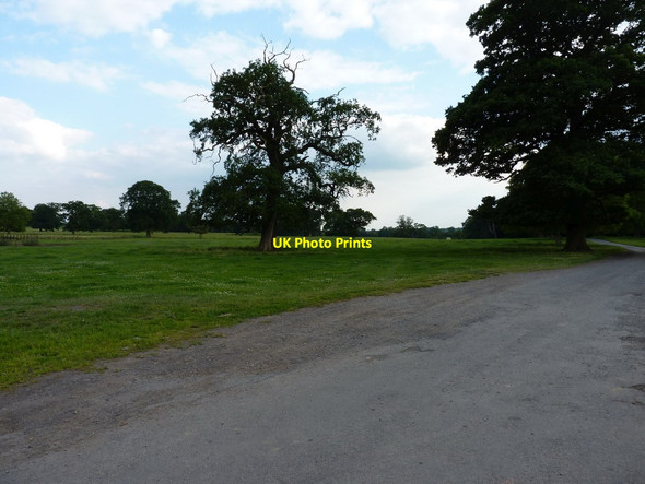 Photo 6"x4" Apley Park Hifnal c2011