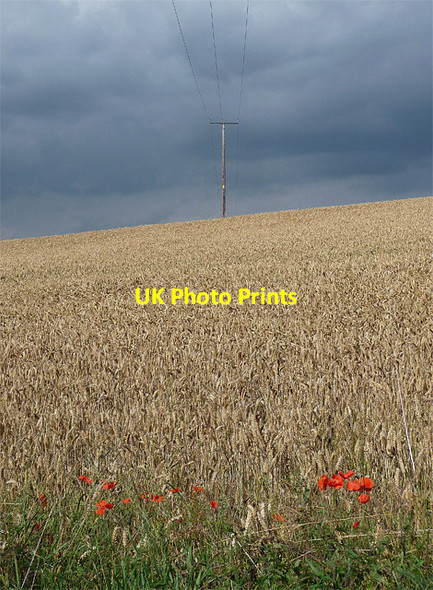 Photo 6"x4" Farmland near Kinlet (3) Kinlet c2010