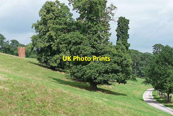 Photo 6"x4" Parkland, Worfield (2) Worfield c2010