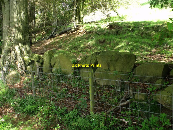 Photo 6"x4" Annathill, stane dyke Mollinsburn c2011