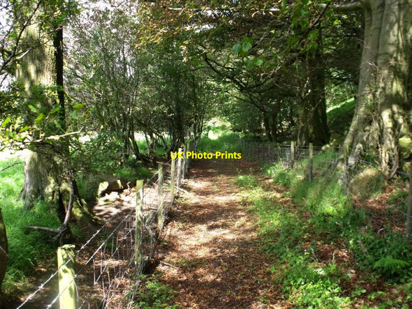 Photo 6"x4" Annathill, Right of Way Mollinsburn c2011