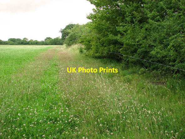 Photo 6"x4" Sibton footpath no 3 to Sibton Green Hemp Green c2011