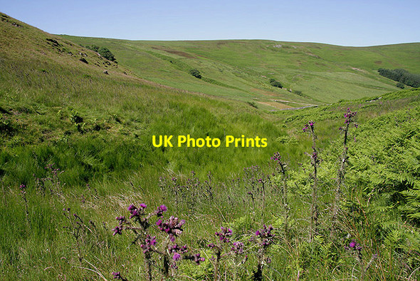 Photo 6"x4" Crock Cleuch Sourhope c2011