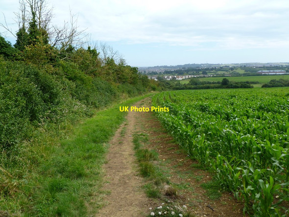 Photo 6"x4" Southill, footpath Weymouth\/SY6779 c2011