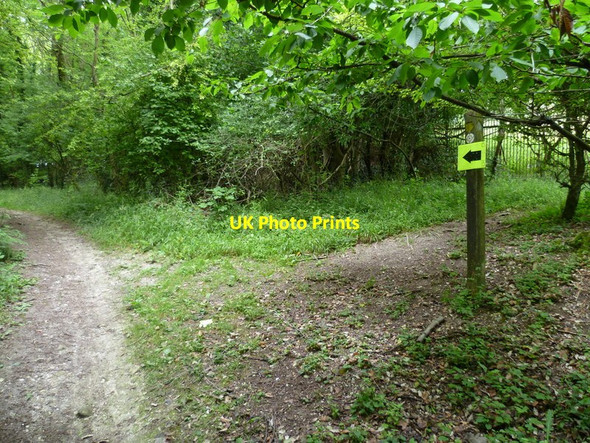 Photo 6"x4" Bridleway and footpath junction on the Trundle Charlton\/SU8812 c2011