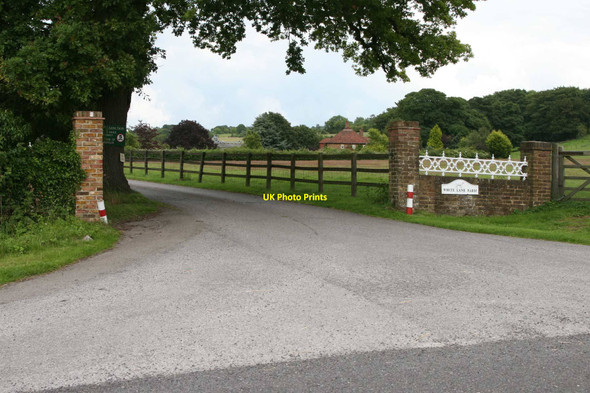 Photo 6"x4" Ash Green Ash Green\/SU9049 c2011