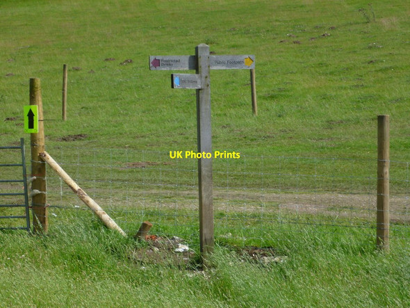 Photo 6"x4" Three coloured signpost at Brockhurst Bottom East Dean\/SU9013 c2011