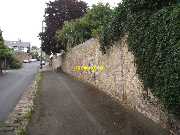 Photo 6"x4" Shute Hill Ash Hill\/SX9173 c2011