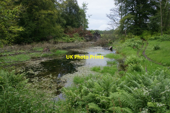 Photo 6"x4" Burnieshed Burn on the Bamff estate Alyth c2011