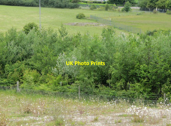 Photo 6"x4" One by the fence Chilton\/SU4885 c2011