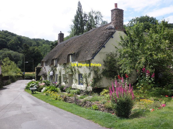 Photo 6"x4" Thatched cottage in Park Street, Dunster Dunster c2011