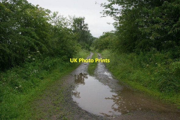 Photo 6"x4" Former railway at Innernyte Cargill c2011