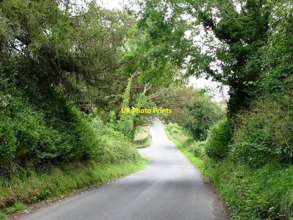 Photo 6"x4" Seaforde Road near its junction with Cottage Road Seaforde c2011