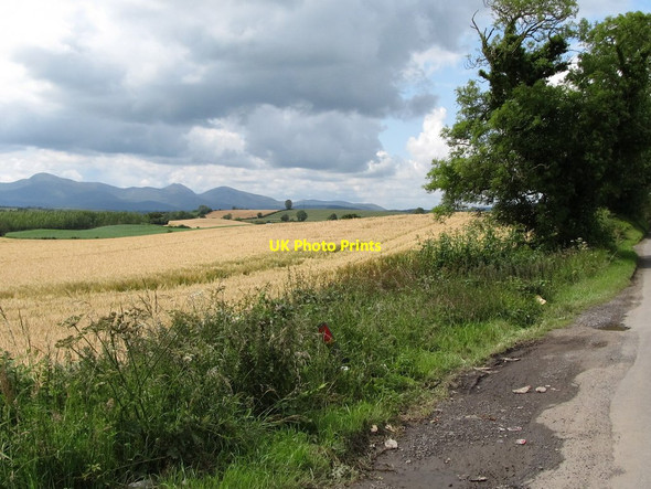 Photo 6"x4" Cropland south of Seaforde Road Seaforde c2011