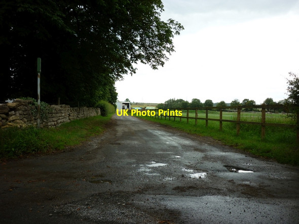 Photo 6"x4" A bridleway towards Manor Farm Langton\/SE7967 c2011