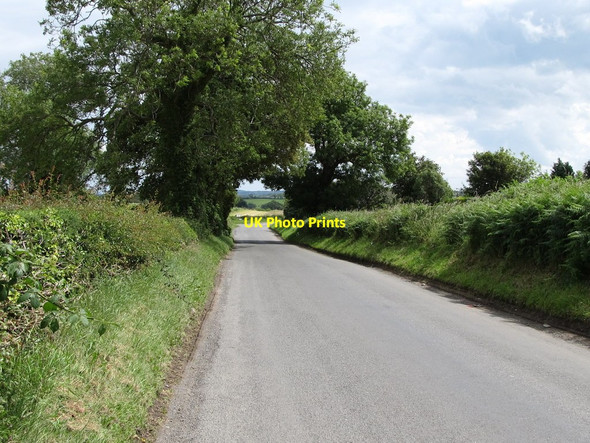 Photo 6"x4" The Seaforde Road west of the junction with Drumgooland Road Seaforde c2011