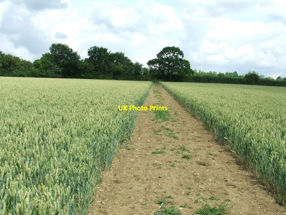 Photo 6"x4" Stour Valley Path Little Bradley c2011
