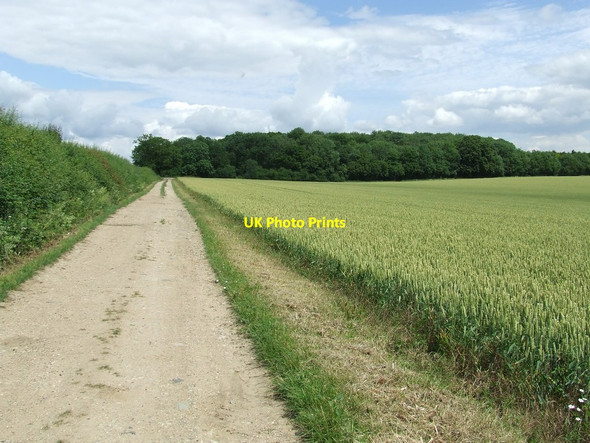 Photo 6"x4" Bradley Park Wood East Green\/TL6853 c2011