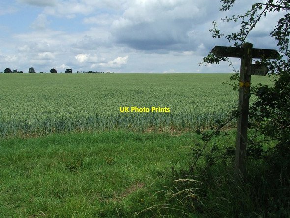 Photo 6"x4" Footpath Junction East Green\/TL6853 c2011