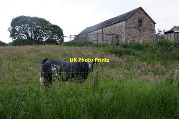 Photo 6"x4" Easter Dounie, Strathardle Kirkmichael\/NO0860 c2011