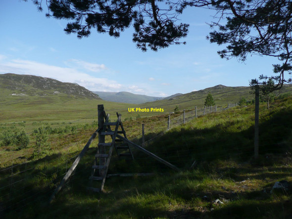 Photo 6"x4" Stile over deer fence Balgowan\/NN6394 c2011