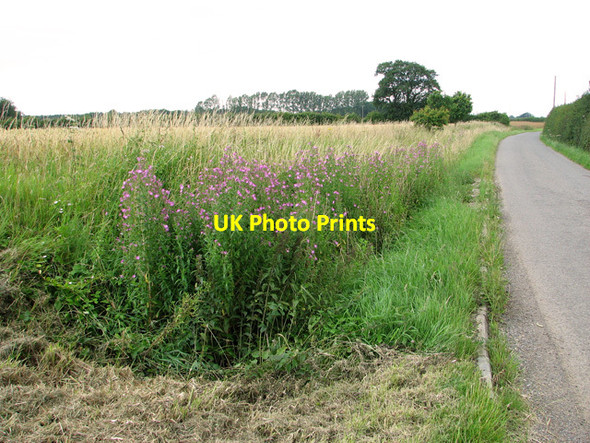 Photo 6"x4" Lane to West End, Wrentham West End\/TM4683 c2011