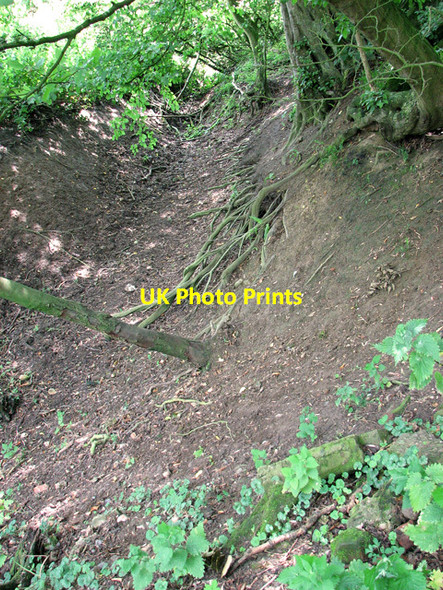 Photo 6"x4" Dry ditch on the edge of Copper Covert, Wrentham West End\/TM4683 c2011
