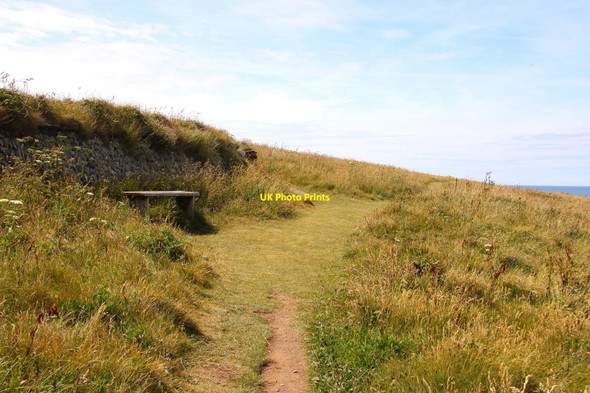 Photo 6"x4" Bench by the Southwest Coast Path West Pentire c2011