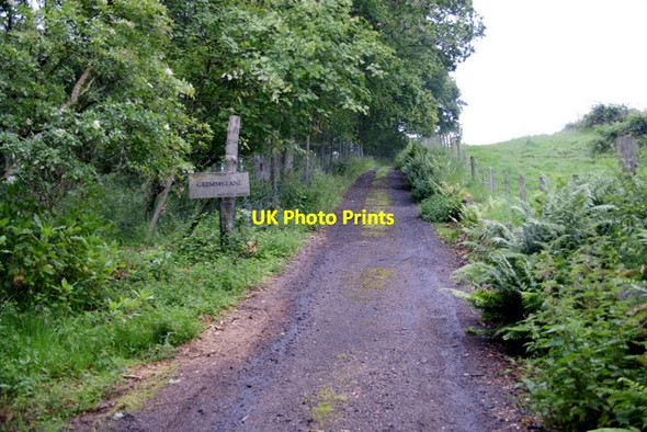 Photo 6"x4" Track to Grimmstane, Forneth Clunie\/NO1043 c2011
