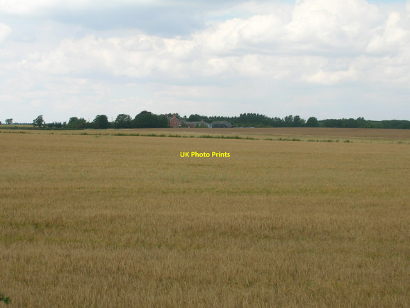 Photo 6"x4" Farmland off College Road South End\/TA1120 c2011