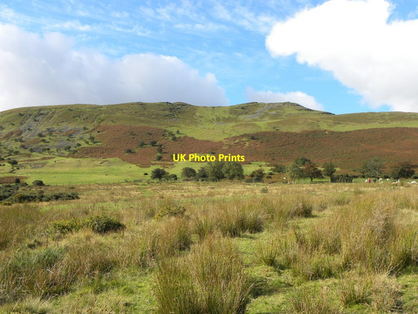 Photo 6"x4" Towards Allt Ddu Libanus c2010