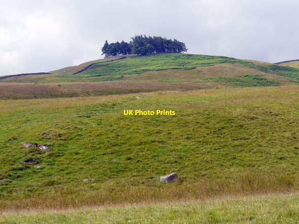 Photo 6"x4" Kirkcarrion from the north Thringarth c2011