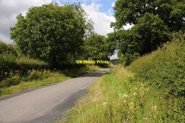 Photo 6"x4" Netherwood Lane Crowle Green c2011