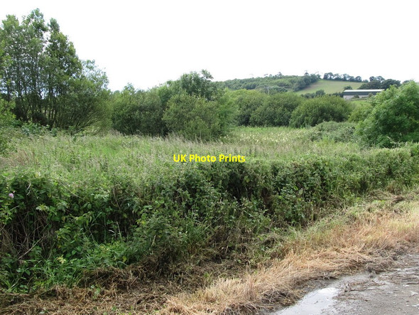 Photo 6"x4" The remnants of a lake west of the Drumgooland Road Loughinisland c2011