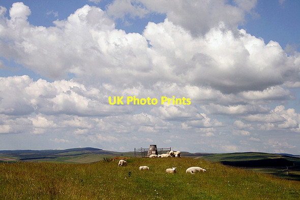 Photo 6"x4" The summit of Whitchesters Hill Branxholme c2011