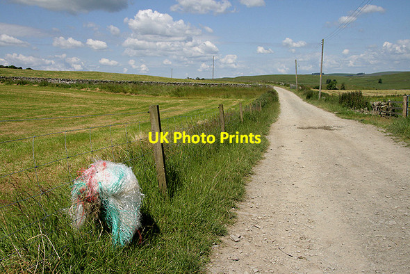 Photo 6"x4" A farm road at Whitchesters Branxholme c2011