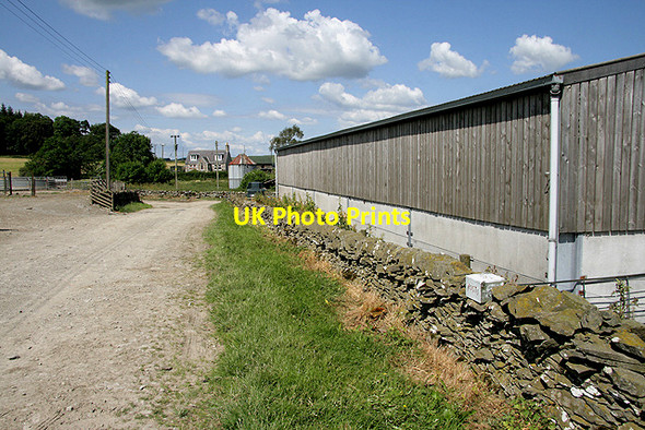 Photo 6"x4" Whitchesters Farm Branxholme c2011